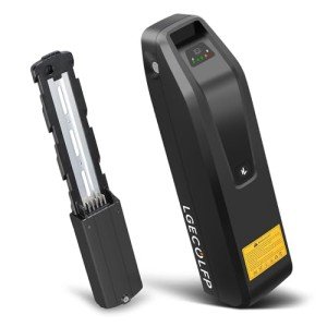 48V 10Ah Lithium Ebike Battery Pack with Charger