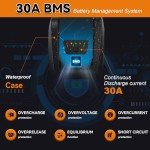 48V 10Ah Lithium Ebike Battery Pack with Charger