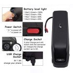 Yasco 48V 13Ah Removable Waterproof eBike Battery