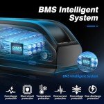 48V 13Ah Lithium E-Bike Battery Pack with Charger