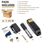 48V 10Ah Lithium Ebike Battery Pack with Charger