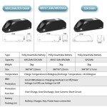 BAFANG 48V/52V Lithium Ion eBike Battery with Charger