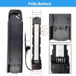 BAFANG 48V/52V Lithium Ion eBike Battery with Charger