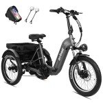 ACTBEST 1000W Folding Electric Trike for Adults
