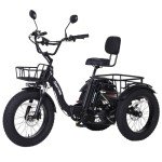 NARRAK 750W Electric Folding Tricycle for Adults