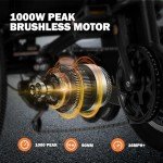 ACTBEST 1000W Folding Electric Trike for Adults