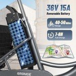 750W Electric Adult Tricycle with Large Basket