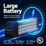 Geemax Adult Electric Tricycle with Fat Tires