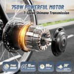 750W Electric Adult Tricycle with Large Basket