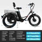 Geemax Adult Electric Tricycle with Fat Tires