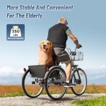 750W Electric Adult Tricycle with Large Basket