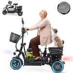 Foldable Electric Tricycle for Adults with Storage