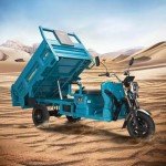 1000W Electric Cargo Tricycle for Adults