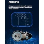 1000W Electric Cargo Tricycle for Adults