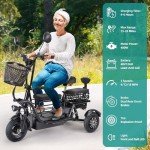 Foldable Electric Tricycle for Adults with Storage
