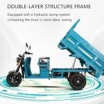 1000W Electric Cargo Tricycle for Adults