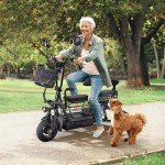 Foldable Electric Tricycle for Adults with Storage