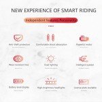 1000W Electric Cargo Tricycle for Adults