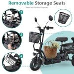 Foldable Electric Tricycle for Adults with Storage