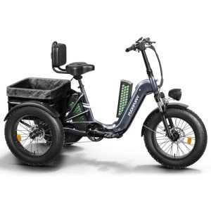 Adult Electric Tricycle with 110 Miles Range