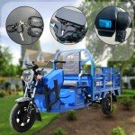 1000W Electric Cargo Tricycle for Adults