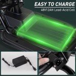 Foldable Electric Tricycle for Adults with Storage