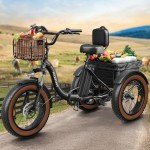 20" Fat Tire Electric Trike for Adults