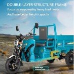 1000W Electric Cargo Tricycle for Adults