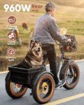 20" Fat Tire Electric Trike for Adults