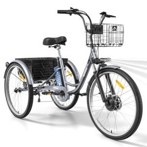 750W Electric Tricycle for Adults with Basket