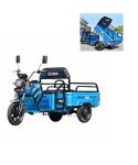 Electric Tricycle for Seniors with 1000W Motor
