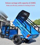Electric Tricycle for Seniors with 1000W Motor
