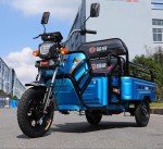 Electric Tricycle for Seniors with 1000W Motor