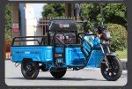 Electric Tricycle for Seniors with 1000W Motor