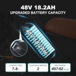 Dainlin 1500W Adult Electric Fat Tire Bike