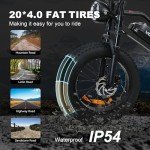 Dainlin 1500W Adult Electric Fat Tire Bike