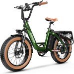 1500W Electric Bike with 80-Mile Range