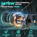 Vivi ACE01 26" Fat Tire Electric Bike