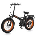 NARRAK Folding Fat Tire Electric Bike 1100W