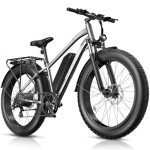 1000W Funhang Electric Mountain Bike for Adults