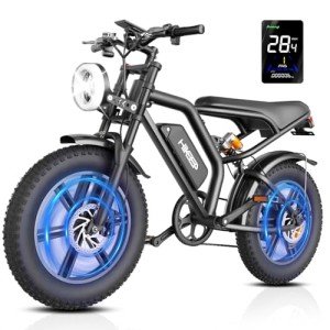 HiKeep 1000W 20" Fat Tire Electric Bike