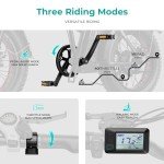 Heybike Mars 20" Fat Tire Electric Bike