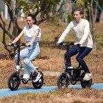 Isinwheel U1 Folding Electric Bike for Adults