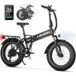 Cityfun 500W Folding Electric Bike with Fat Tires