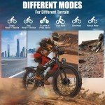 5000W Dual Motor Folding Electric Bike 40MPH
