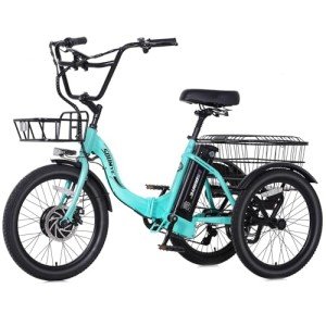 Soumye 20" Folding Electric Tricycle for Adults