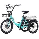 Soumye 20" Folding Electric Tricycle for Adults