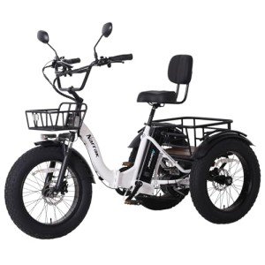 Narrak 750W Electric Tricycle for Adults