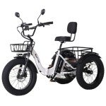 Narrak 750W Electric Tricycle for Adults