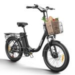 1000W Folding Electric Bike with Removable Battery
